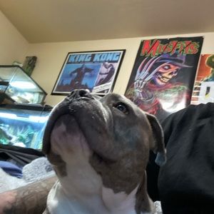 Meet your Posher, Burton